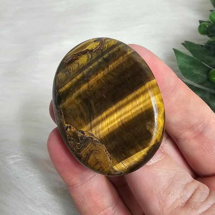Tiger's Eye Worry Pocket Stone BONUS Info Card Gifts