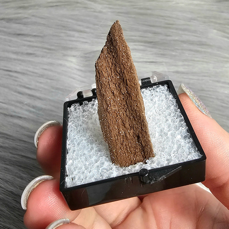 Druzy Wood Crystals Minerals Thumbnails Stones Natural Specimen Collectible