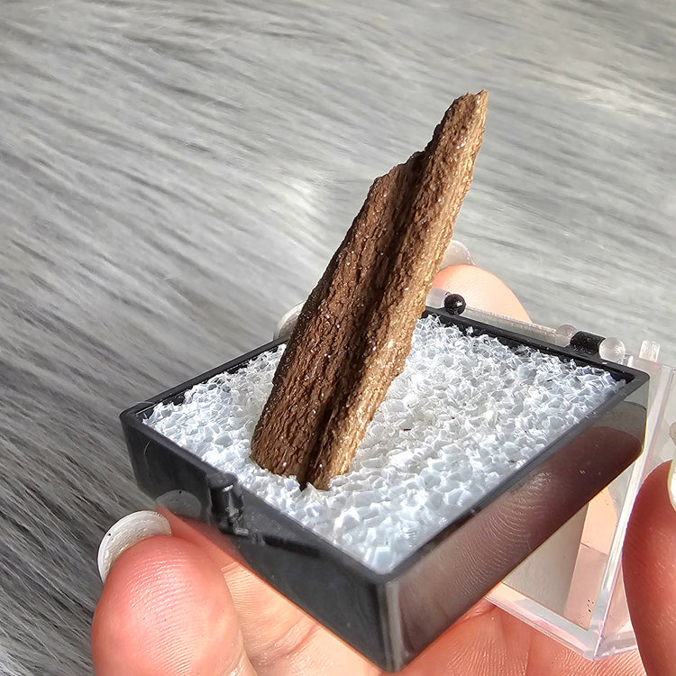 Druzy Wood Crystals Minerals Thumbnails Stones Natural Specimen Collectible