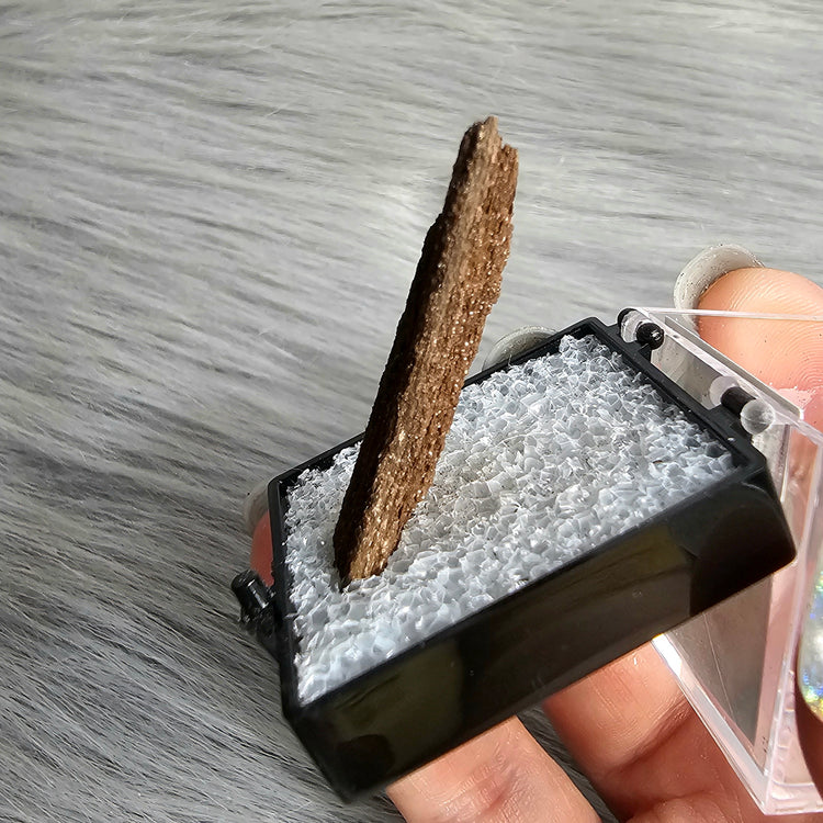 Druzy Wood Crystals Minerals Thumbnails Stones Natural Specimen Collectible