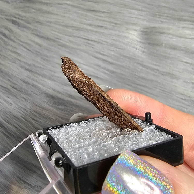 Druzy Wood Crystals Minerals Thumbnails Stones Natural Specimen Collectible