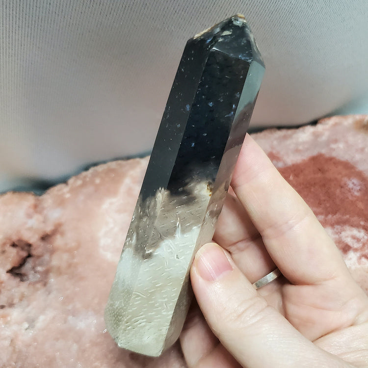 Fossilized Palm Root Generator Tower Indonesia Crystals Minerals Stones E