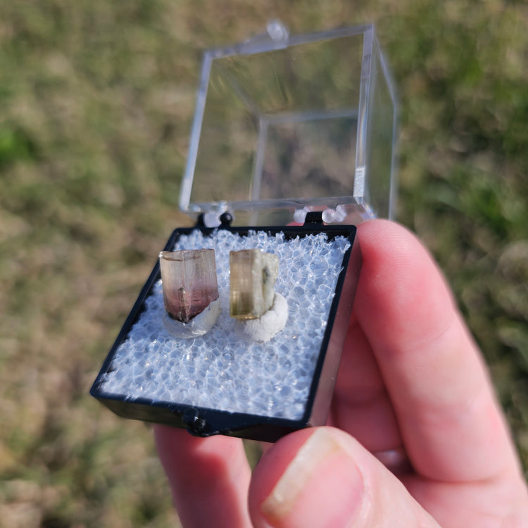 Watermelon Tourmaline Crystals Minerals Thumbnails Natural Specimen Collectible