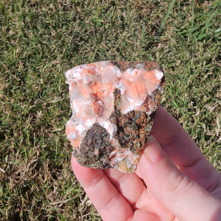 Thomsonite Specimen India Crystals Minerals Collectible Gifts