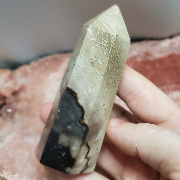 Fossilized Palm Root Generator Tower Indonesia Crystals Minerals Stones Natural F