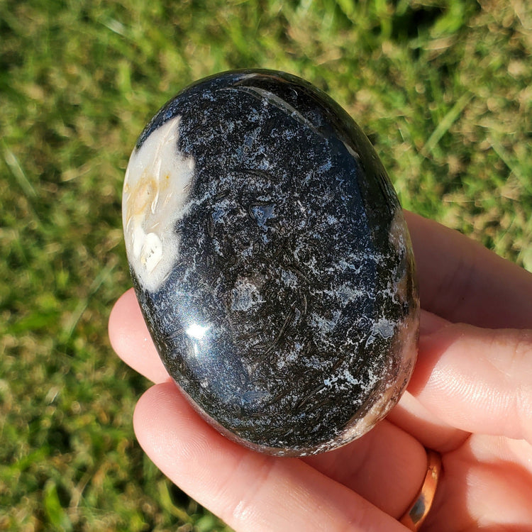 Fossilized Palm Root Palm Stone Indonesia Agate Collectible Quality Gifts D