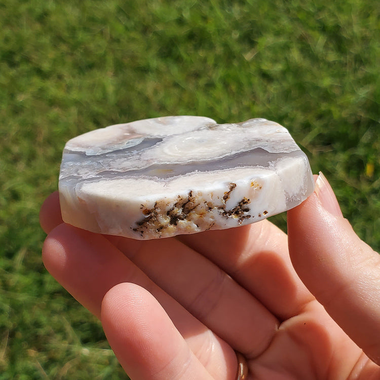 Flower Agate Slice Slab Minerals Stones BONUS INFO CARD Nature Reiki Collectible