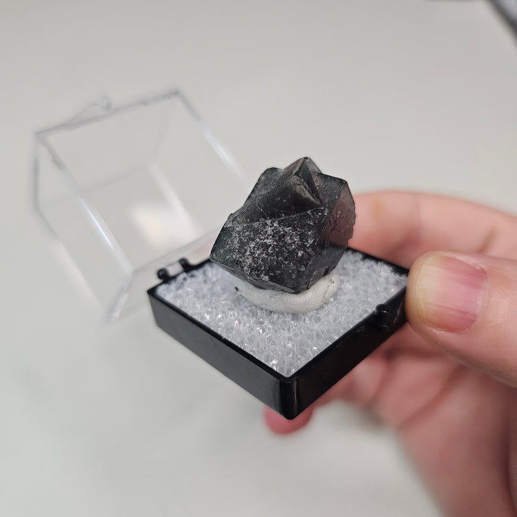 Fluorite Color Changing England Crystals Minerals Thumbnails Natural Specimen Collectible