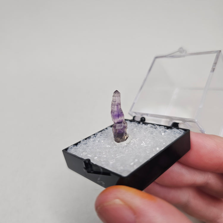 Amethyst Scepter Crystals Minerals Thumbnails Natural Specimen Collectible