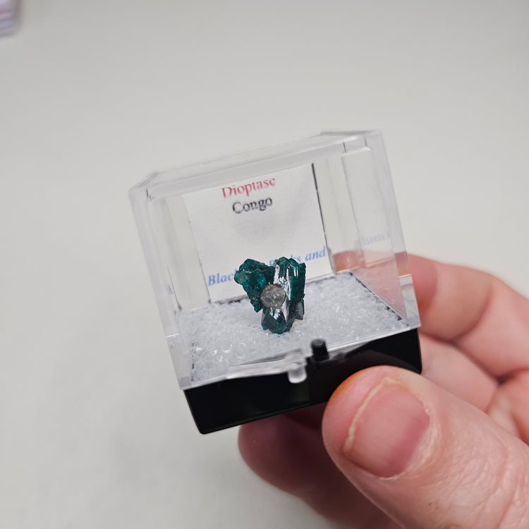 Dioptase Crystals Minerals Thumbnails Natural Specimen Collectible