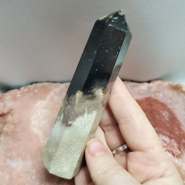 Fossilized Palm Root Generator Tower Indonesia Crystals Minerals Stones E