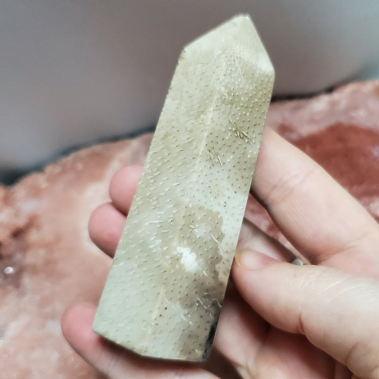 Fossilized Palm Root Generator Tower Indonesia Crystals Minerals Stones Natural F