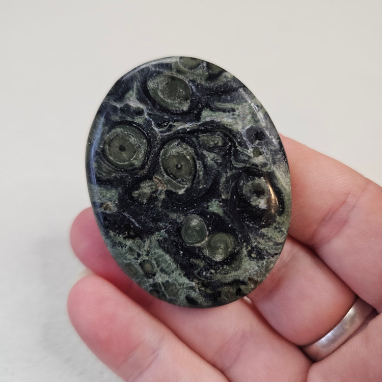 Kambaba Jasper Stone Worry Pocket Stone Crystals Stones BONUS INFO CARD Gifts