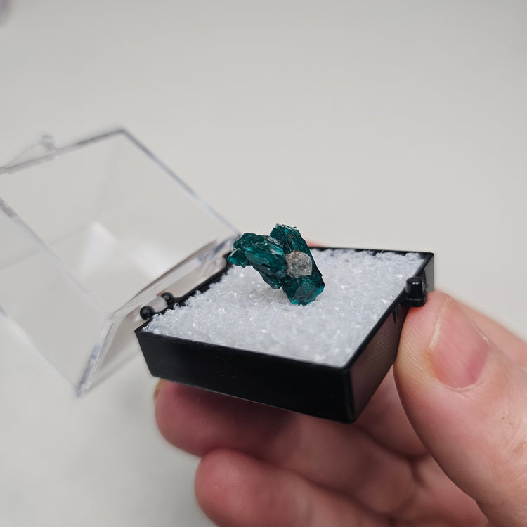 Dioptase Crystals Minerals Thumbnails Natural Specimen Collectible