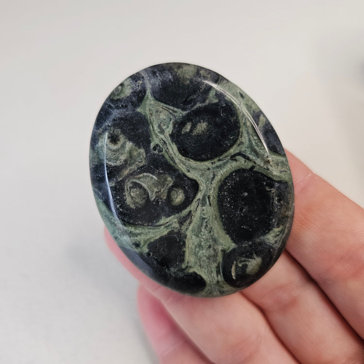 Kambaba Jasper Stone Worry Pocket Stone Crystals Stones BONUS INFO CARD Gifts