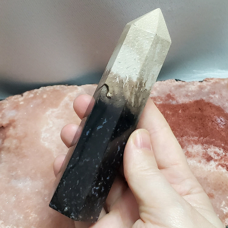 Fossilized Palm Root Tower Generator Indonesia Crystals Minerals Stones Natural Healing Metaphysical Nature Reiki Collectible A