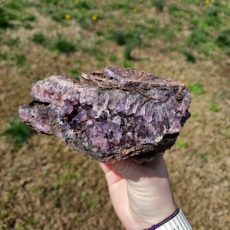 Amethyst Large Juicy Cluster Specimen Chihuahua Mexico Crystals Collectible