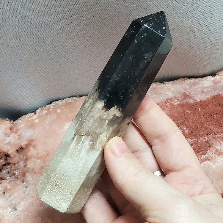 Fossilized Palm Root Generator Tower Chalcedony Indonesia Crystals Collectible B