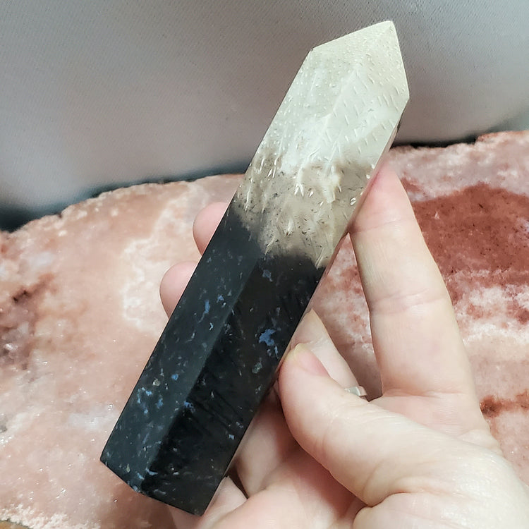 Fossilized Palm Root Tower Generator Indonesia Crystals Minerals Stones Natural Healing Metaphysical Nature Reiki Collectible A