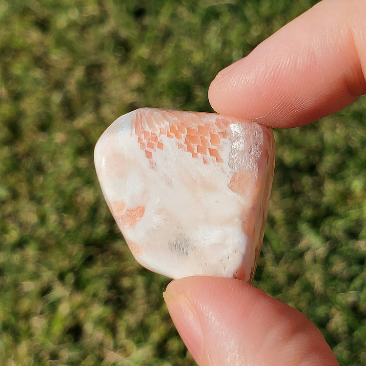 Scolecite Tumble Pocket Stone BONUS INFO CARD Crystals Minerals