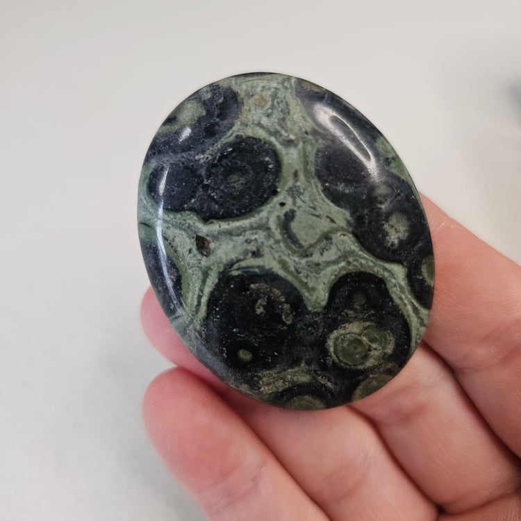 Kambaba Jasper Stone Worry Pocket Stone Crystals Stones BONUS INFO CARD Gifts