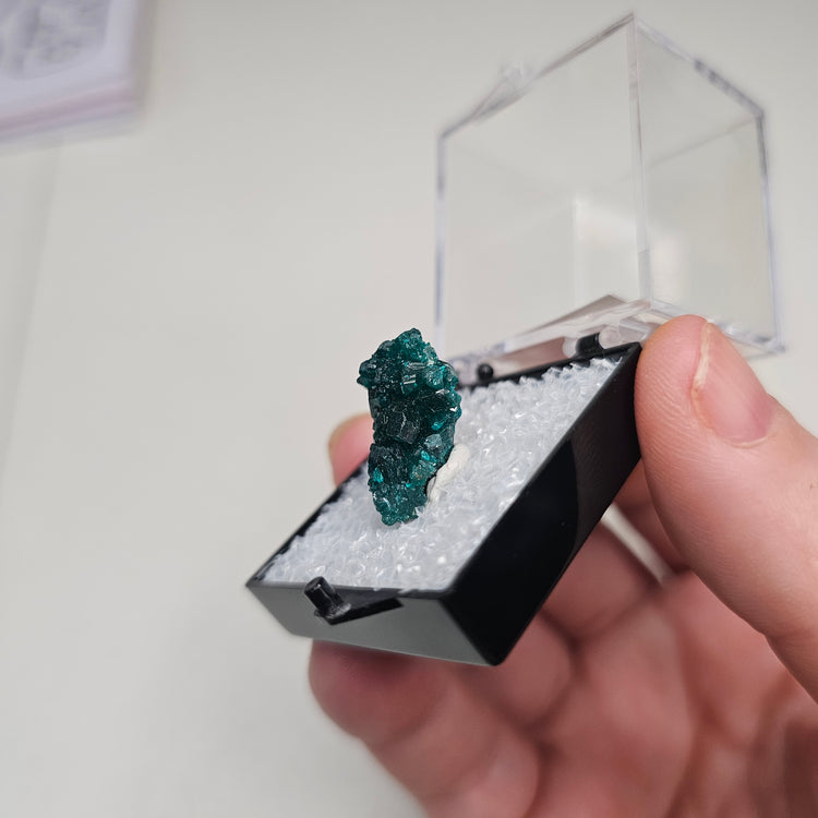 Dioptase Crystals Minerals Thumbnails Natural Specimen Collectible