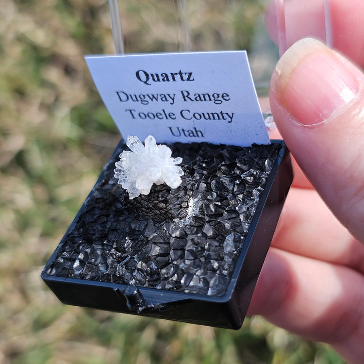 Quartz Flower Crystals Minerals Thumbnails Natural Specimen Collectible