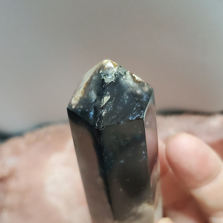 Fossilized Palm Root Generator Tower Indonesia Crystals Minerals Stones E