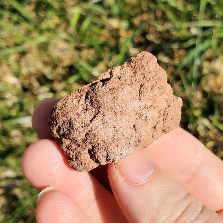 Pink Amethyst Geode Specimen BONUS INFO CARD Gifts