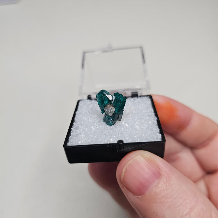 Dioptase Crystals Minerals Thumbnails Natural Specimen Collectible