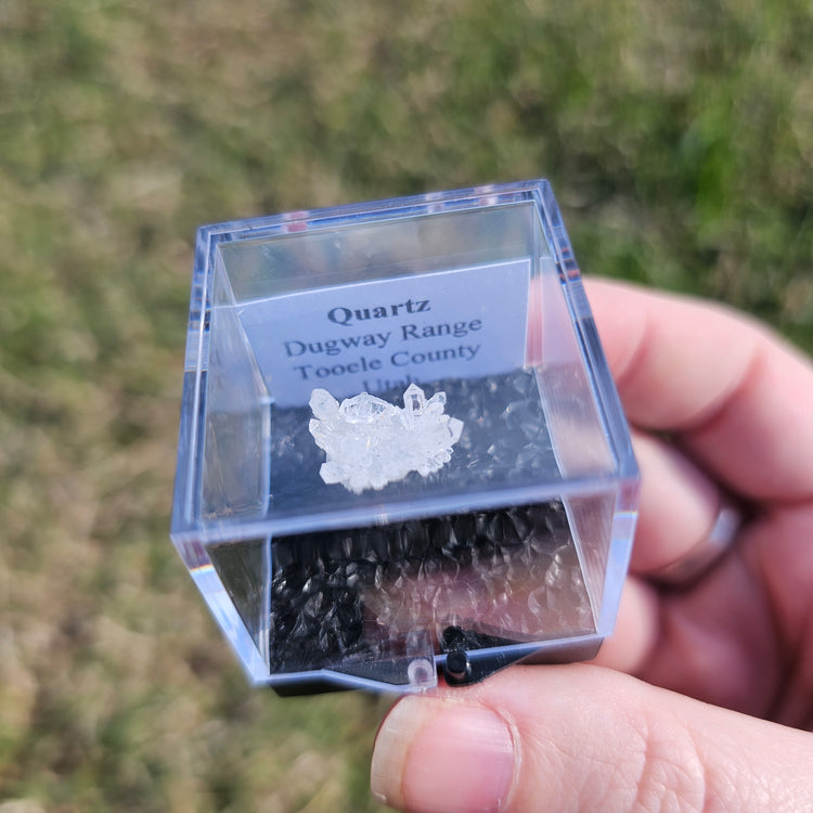 Quartz Flower Crystals Minerals Thumbnails Natural Specimen Collectible