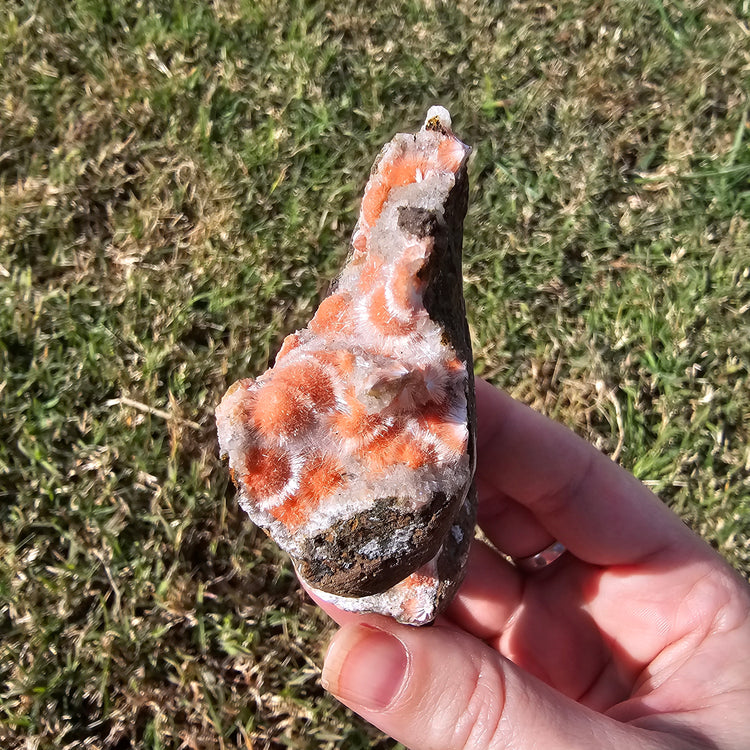 Thomsonite Specimen India Crystals Minerals Collectible Gifts