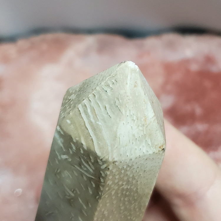 Fossilized Palm Root Generator Tower Indonesia Crystals Minerals Stones Natural F