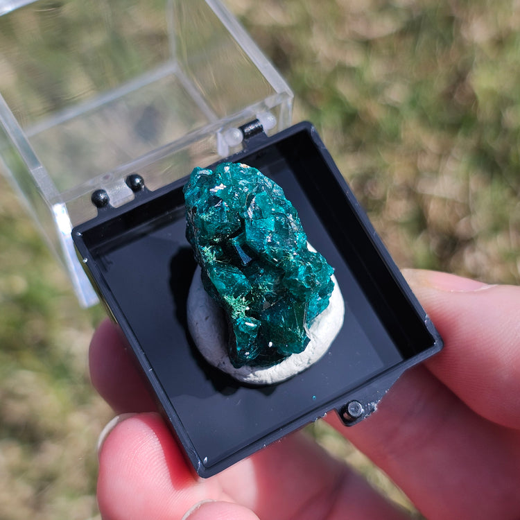 Dioptase Crystals Minerals Thumbnails Natural Specimen Collectible