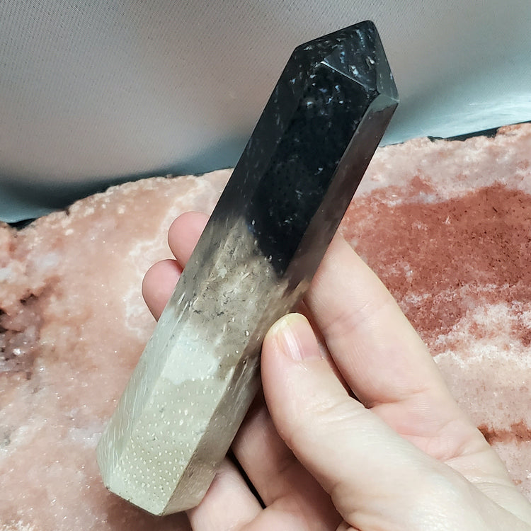 Fossilized Palm Root Generator Tower Chalcedony Indonesia Crystals Collectible B