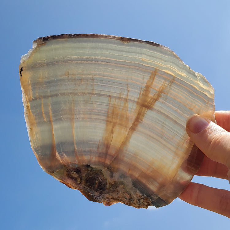 Rainbow Fluorite Slab Slice Minerals Stones Natural BONUS Info Card Nature Reiki Collectible