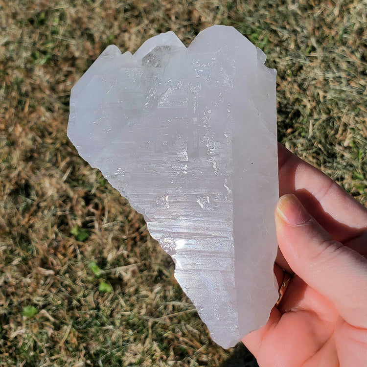 Brazilian Clear Quartz BONUS INFO CARD Crystals Minerals Specimen Collectible