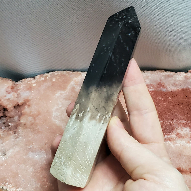 Fossilized Palm Root Generator Tower Chalcedony Indonesia Crystals Collectible B