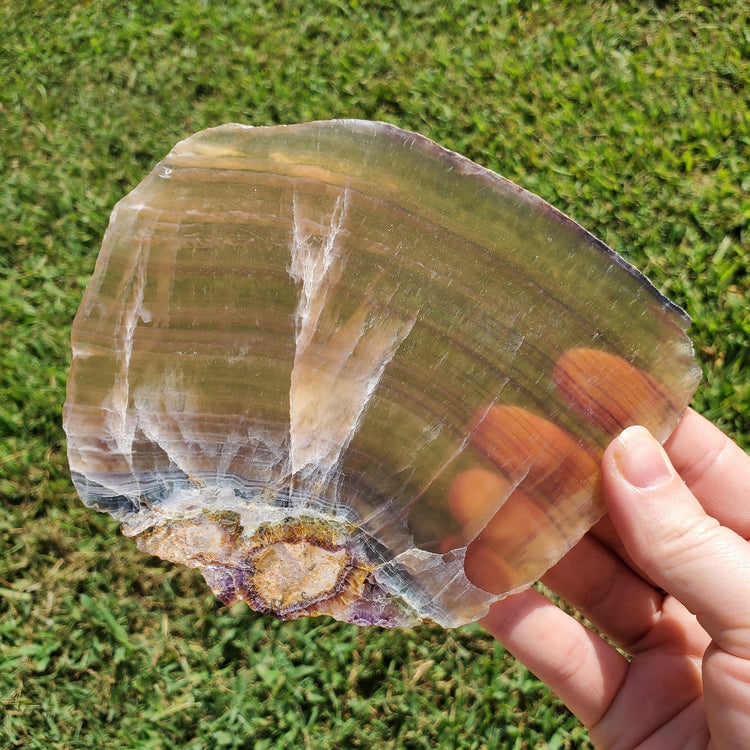 Rainbow Fluorite Slab Slice Minerals Stones Natural BONUS Info Card Nature Reiki Collectible