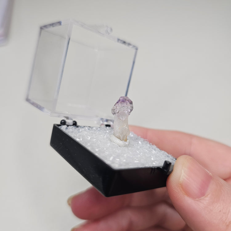 Amethyst Scepter Crystals Minerals Thumbnails Natural Specimen Collectible