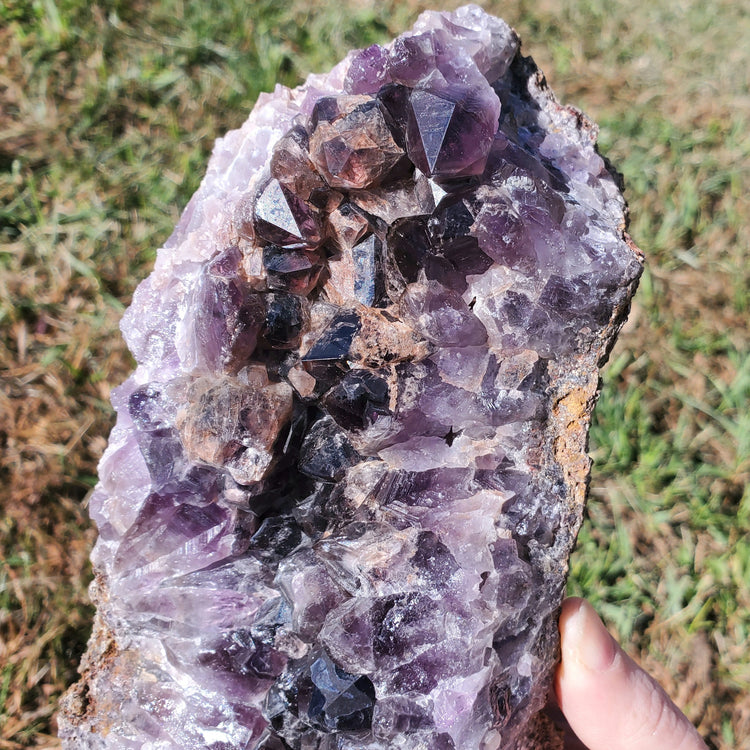 Amethyst Large Juicy Cluster Specimen Chihuahua Mexico Crystals Collectible
