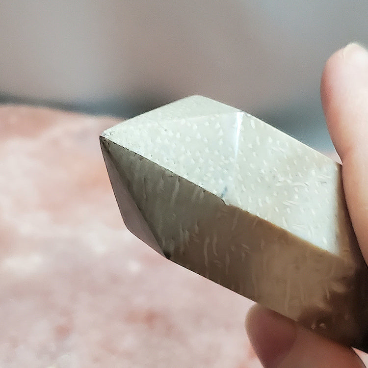 Fossilized Palm Root Tower Generator Indonesia Crystals Minerals Stones Natural Healing Metaphysical Nature Reiki Collectible A