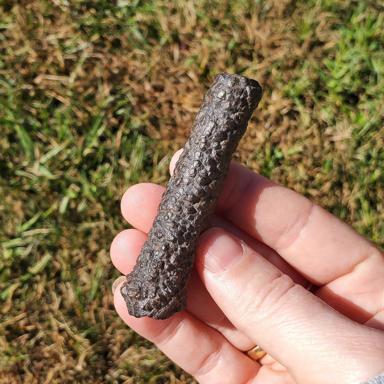 Prophecy Stone Unique Specimen Collectible Minerals Egypt