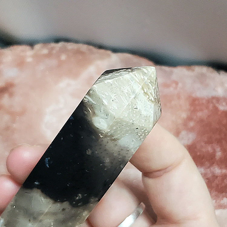 Fossilized Palm Root Generator Tower Chalcedony Indonesia Crystals C