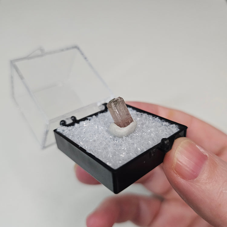 Watermelon Tourmaline Crystals Minerals Thumbnails Natural Specimen Collectible