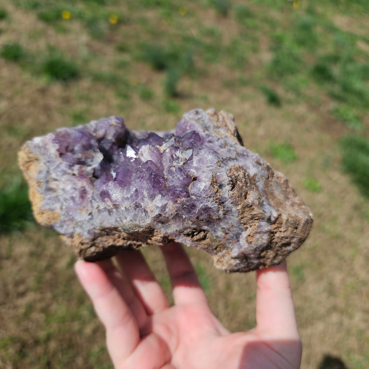 Amethyst Large Juicy Cluster Specimen Chihuahua Mexico Crystals Collectible