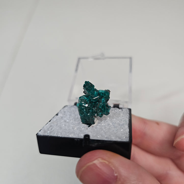 Dioptase Crystals Minerals Thumbnails Natural Specimen Collectible