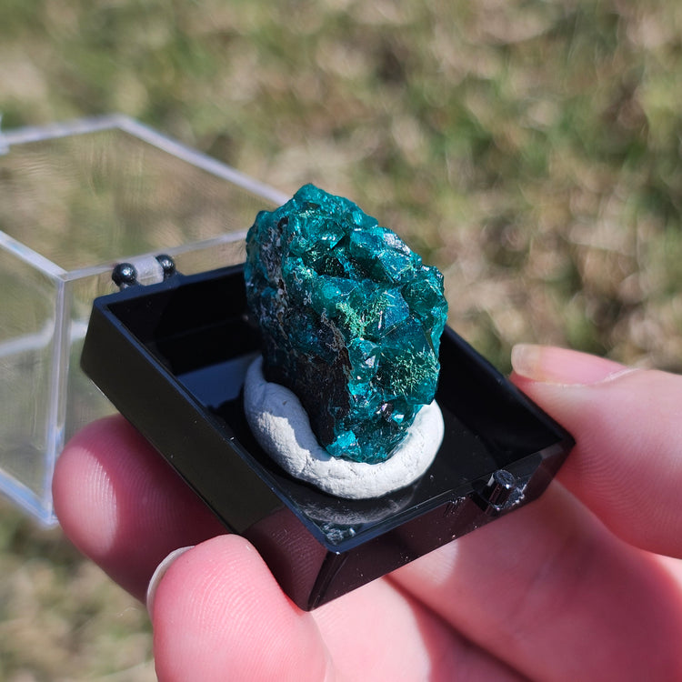 Dioptase Crystals Minerals Thumbnails Natural Specimen Collectible