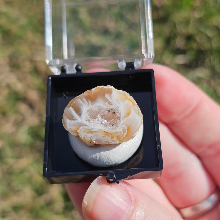 Oco Geode Crystals Minerals Thumbnails Natural Specimen Collectible