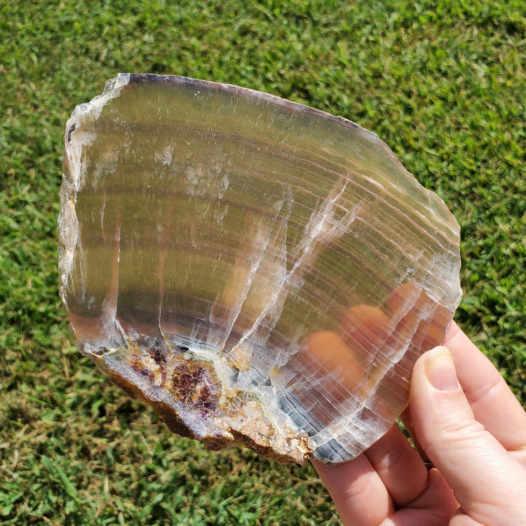 Rainbow Fluorite Slab Slice Minerals Stones Natural BONUS Info Card Nature Reiki Collectible